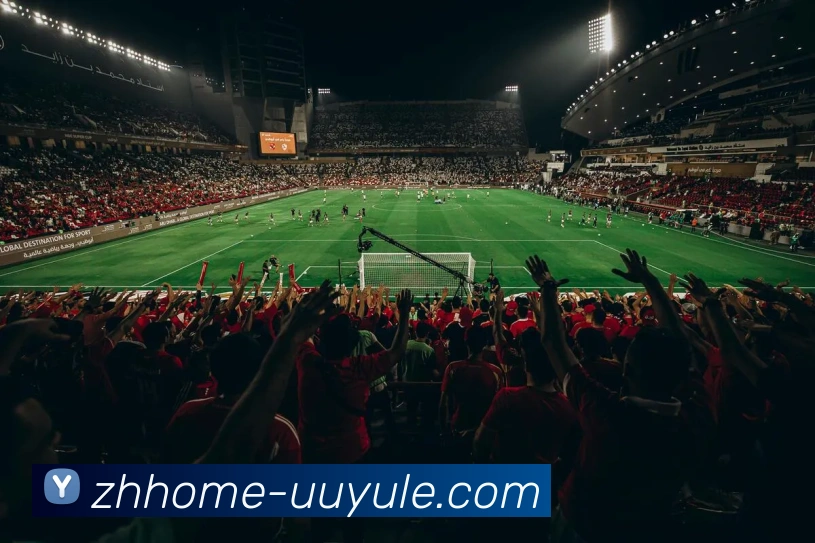 App Interface Preview