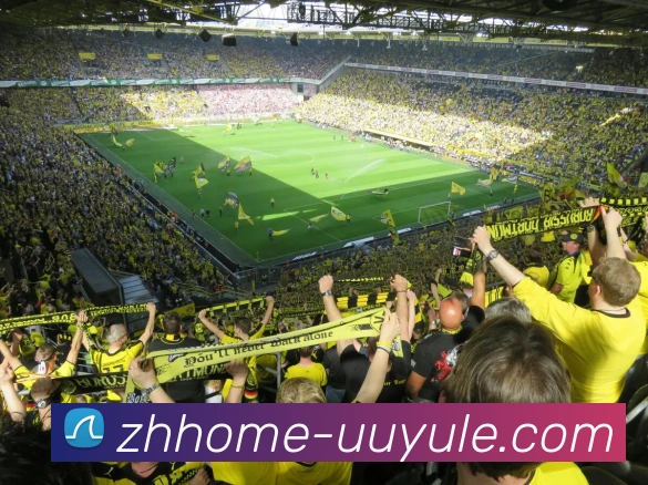 uu娱乐官网APP 封面图